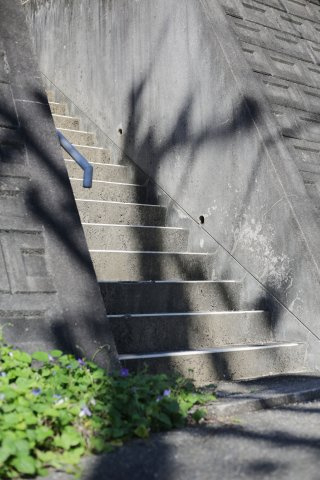 東海市名和町　コーポ名和のその他