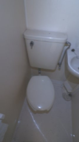 パラディッソコートのトイレ