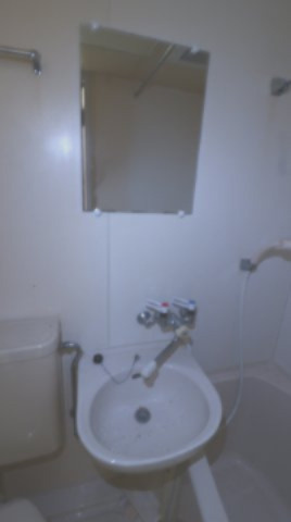 パラディッソコートの洗面所