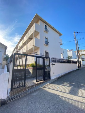 どみとりーときわ