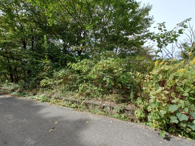 長浜市法楽寺町30－10（売土地）の画像