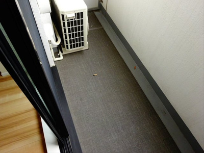 【バルコニー】 | スカイコートパレス明大前