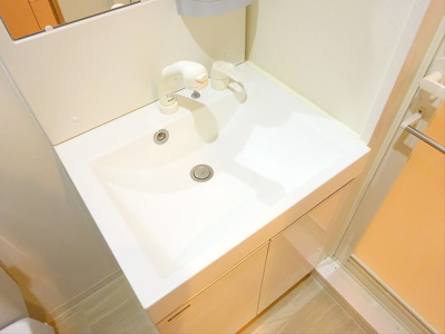 【独立洗面台】 | スカイコートパレス明大前