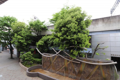 【展望】 | ラポール37