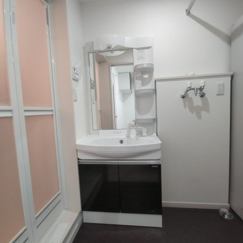 エクスセンスの洗面所