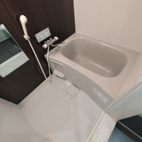 エクスセンスの浴室