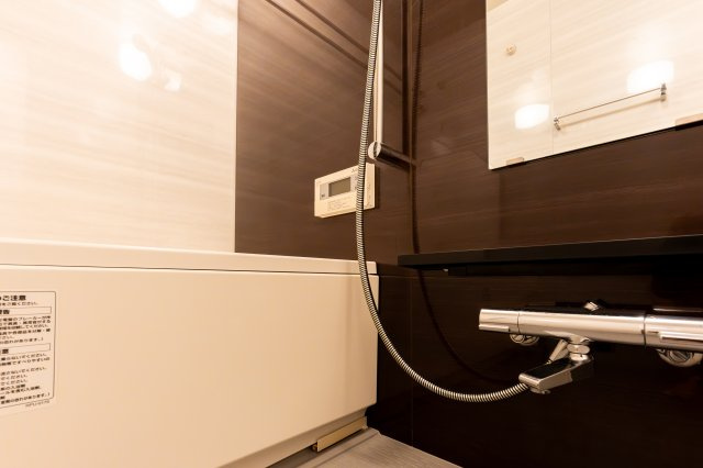 阿波座ライズタワーズ フラッグ46（OMPタワー）の浴室