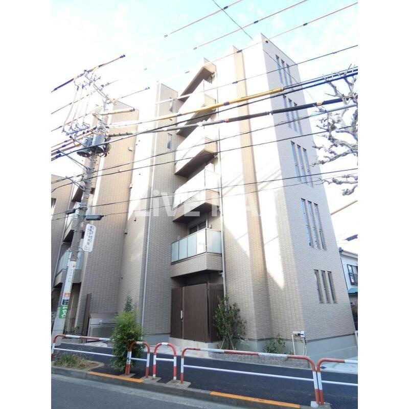 ワイズフォレストの画像