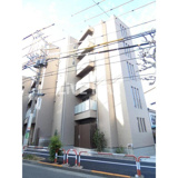 ワイズフォレストの画像