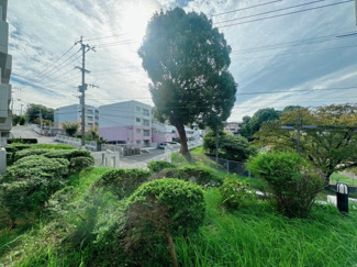 【展望】 | 部屋からダイレクトに緑です。目の前には公園があります。福岡市南区で、これは贅沢だともいえます。