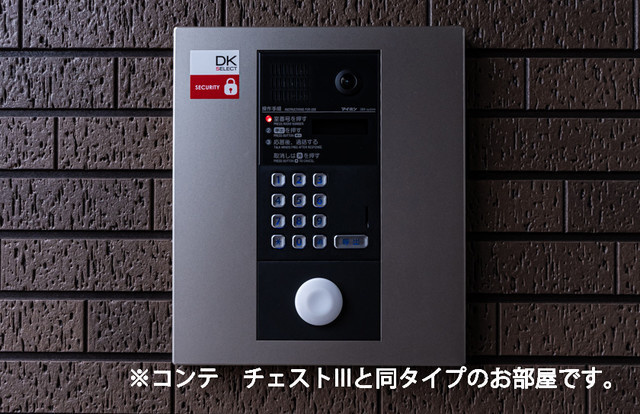 ラ・ステラのセキュリティ