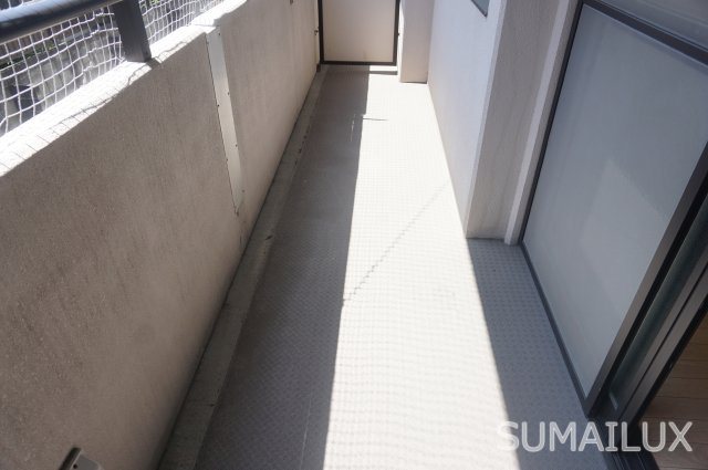 熊本市中央区新屋敷２丁目の賃貸マンションのバルコニー