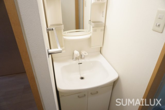 熊本市中央区新屋敷２丁目の賃貸マンションの独立洗面台