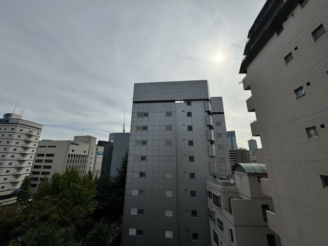 ライオンズステージ麻布の展望