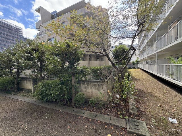 マンハイム西大島の展望|緑豊かな眺望です