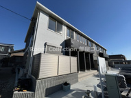 リコリスの画像