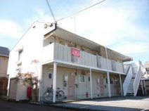 ビラコートの画像