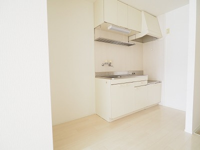 ニューシティーFのキッチン