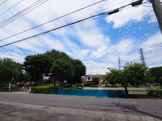 ニューシティーFの展望