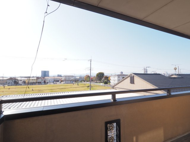 ダンディライオンの展望