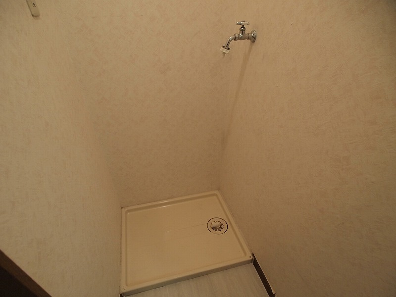 ダンディライオンのその他