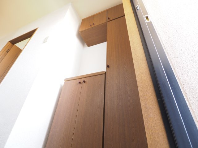 ダンディライオンの収納