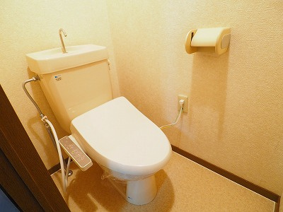 ダンディライオンのトイレ