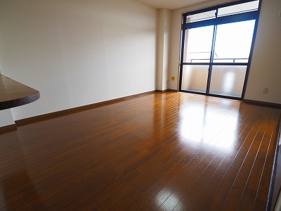 ダンディライオンの展望