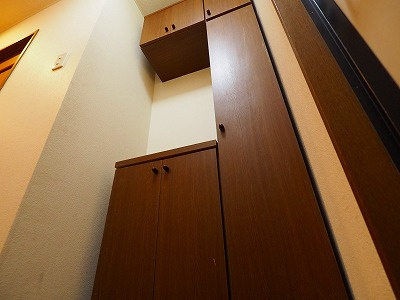 ダンディライオンの収納