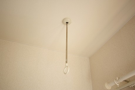 シンフォニーのその他