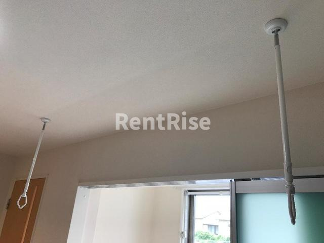 リコリスのその他|その他(イメージ)