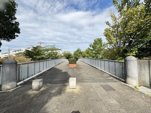 の-の画像
