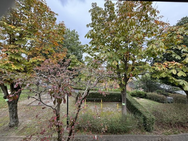 の-の画像