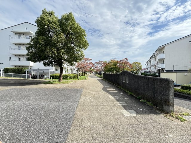 の-の画像