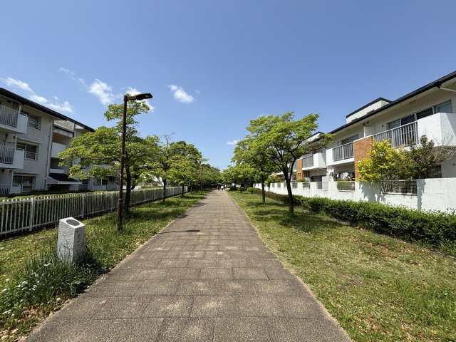 の-の画像
