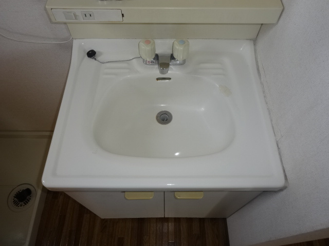 レークサイドてらだⅢの洗面所