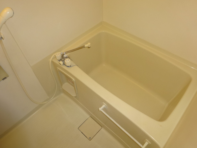 レークサイドてらだⅢの浴室