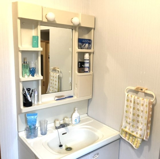 西伯郡伯耆町金屋谷岩立　中古別荘の独立洗面台