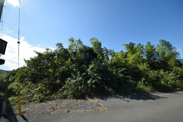 【外観】 | 玖須美元和田　広大地