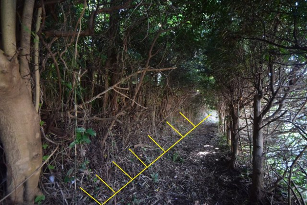 【外観】 | 玖須美元和田　広大地