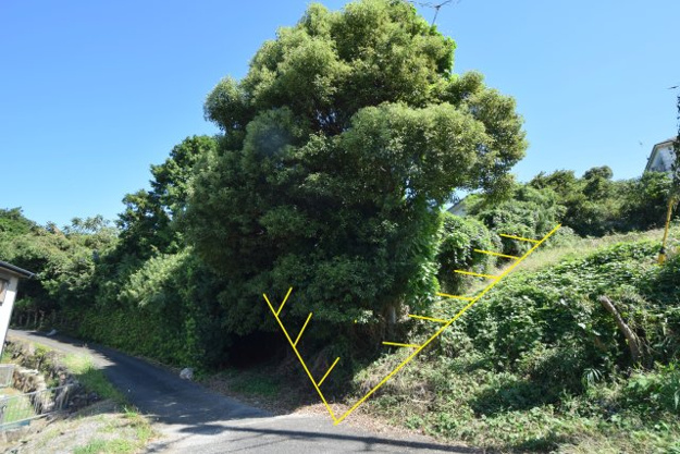 【外観】 | 玖須美元和田　広大地