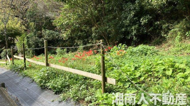 逗子市小坪５丁目売地