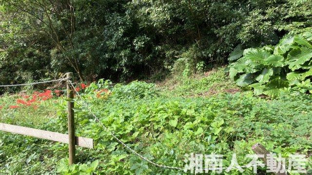 逗子市小坪５丁目売地の外観|外観です