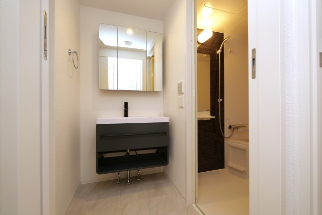 セレニテ東三国ミラクの洗面所