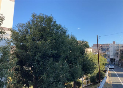 【展望】 | ハイネス町田 | 眺望の良さを楽しめるダイニングキッチンで家族団らんの時間を過ごしてはいかがでしょうか。バルコニーから見える景色を家族で眺める時間は、時間が経つのを忘れてしまいそうですね。是非、現地を見に行きましょう！