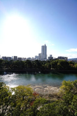 【展望】 | 【リノベ済】シャンボール広交 | 現地（2024年11月24日13：00頃）撮影
