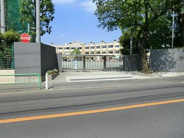 【周辺】 | 板橋区中台3丁目　新築戸建　4580万円 | 板橋区立若木小学校
