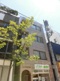 ニュースカイ青葉の画像