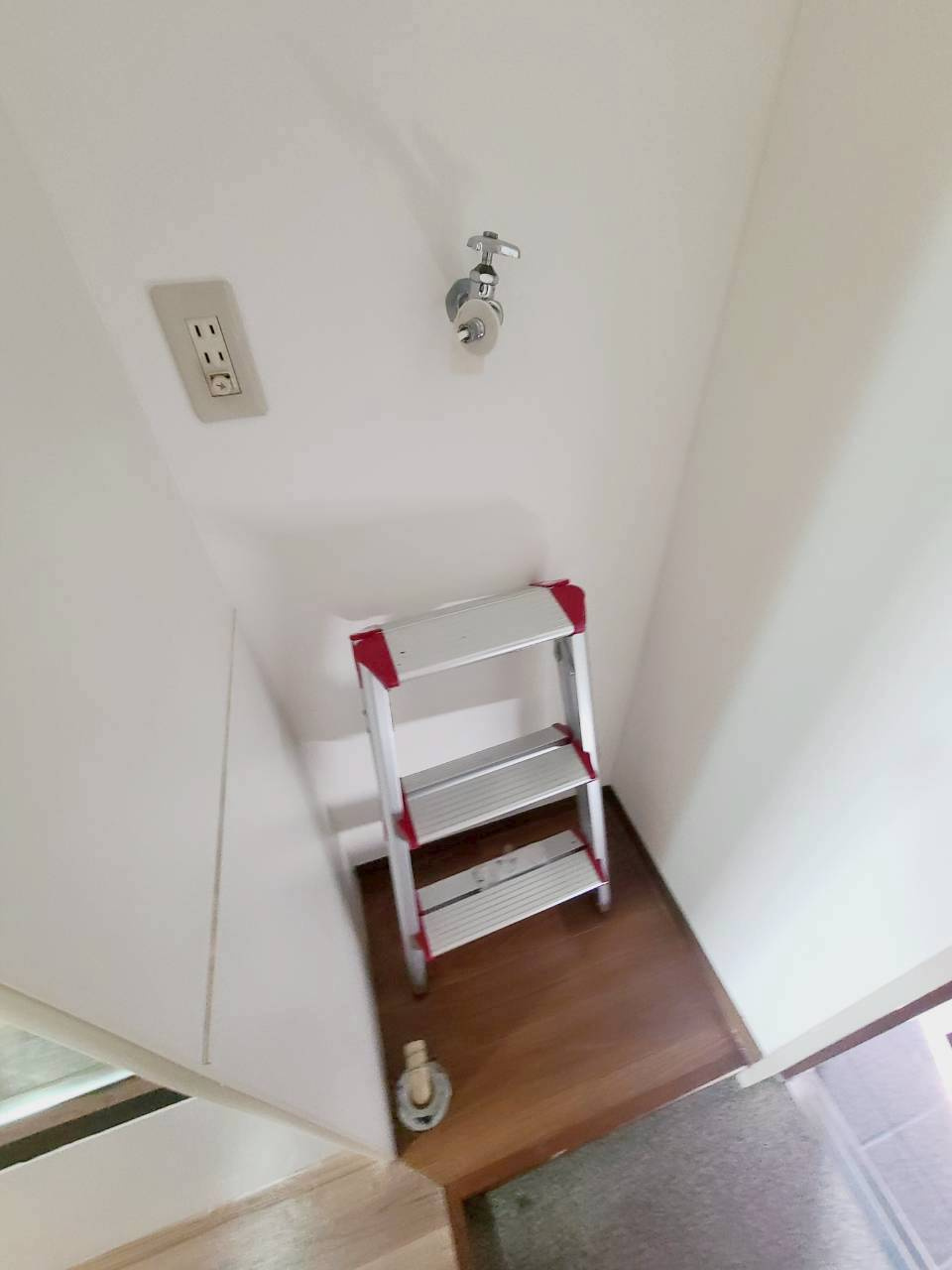 キングガーデンのその他