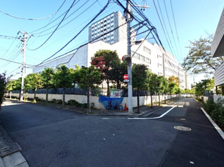 【周辺】 | 【白山５丁目土地】